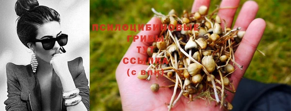 метадон Карпинск