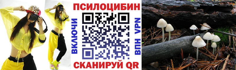 Купить  Нефтегорск  Псилоцибиновые грибы MAGIC MUSHROOMS 